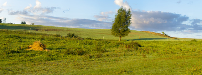 Wiejski krajobra,łąka-pastwisko © Mike Mareen