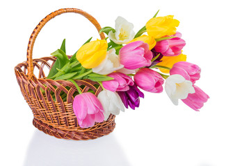 Obraz premium Tulip flowers in a basket