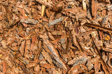 Natural pine bark used as a soil covering (compost) for mulch in