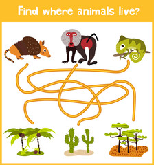 Fun and colorful puzzle game for children's development find where the Armadillo, the baboon and the lizard is a chameleon. Training mazes for preschoolers. Vector © alyonka_lis