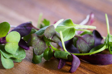 micro greens close-up