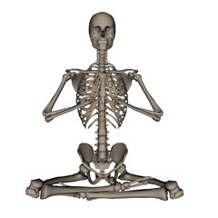 Human skeleton meditation- 3D render