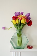  Tulips