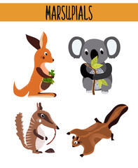 Naklejka premium Cartoon Set of Cute Animals marsupials living in Australia and its Islands. Kangaroo, squirrel, numbat, anteater and Koala bear with bamboo leaf. Vector