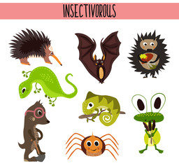 Cartoon Set of Cute Animals insectivores living in different parts of the world forests and tropical jungle .A bat, a lizard, hedgehog, mole,spider, chameleon and frog fun . Vector