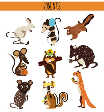 Cartoon Set of Cute Animals rodents living on the planet .Squirrel, mouse, opossum, Coney, beaver, Chipmunk, quoll, quokka . Vector
