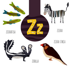 Fun animal letters of the alphabet for the development and learning of preschool children. Set of cute forest, domestic and marine animals with the letter z. Vector