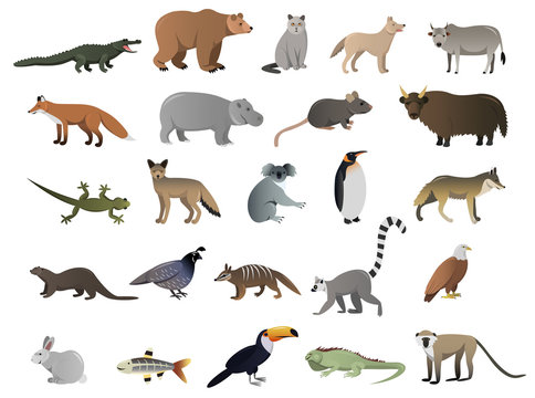 Vector image of wild animals