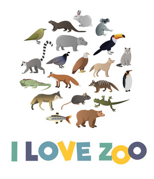 I love ZOO. Vector poster with animals images