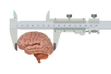 Vernier caliper with brain, IQ concept - obrazy, fototapety, plakaty