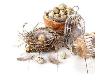 Fototapeta na wymiar quail eggs on white wooden background