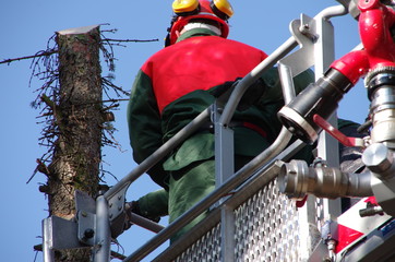 Feuerwehrmänner