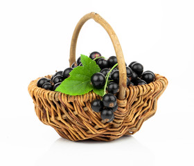 Fototapeta na wymiar Basket with black currant on a white background