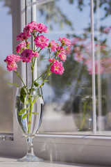 Bouquet of pink roses in glass near window