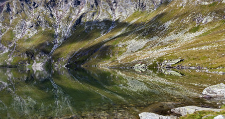 Fledermaus am Kratzenbergsee