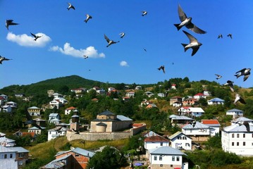 Macedonian traditional village