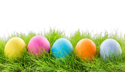 Fototapeta na wymiar Easter eggs in grass on white