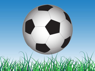 vector illustration banner to world football day with the ball hanging over the green grass
