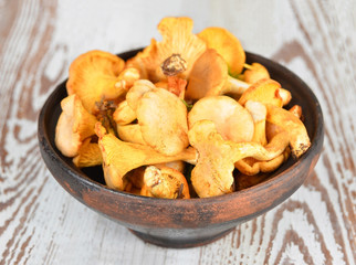 Chanterelle mushroom on bowl