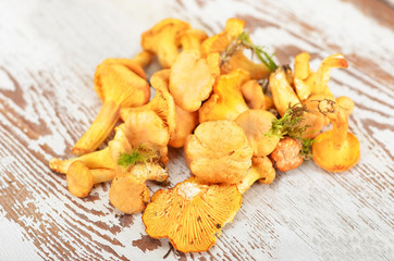 Chanterelle mushroom on wooden background