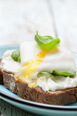 toast with poached egg, cottage  cheese