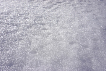 texture of white snow sparkling in the sun