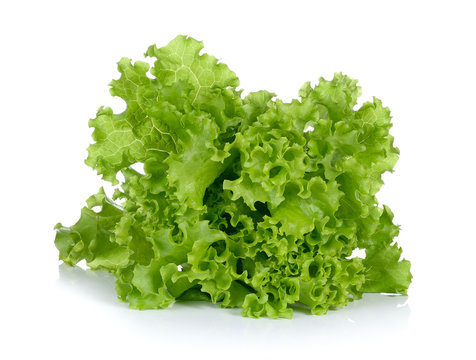 Fresh green lettuce in the basket isolated on a white background