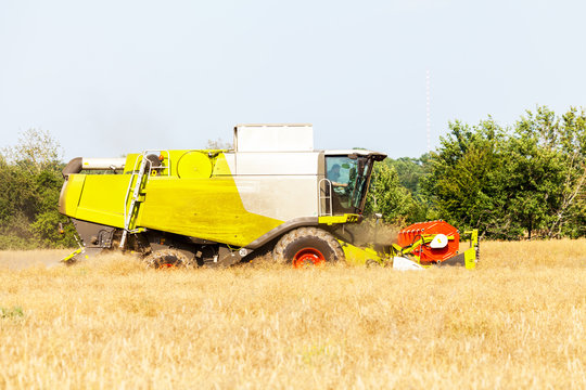 Mähdrescher erntet Getreide / harvester reap on field