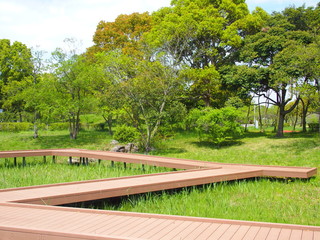 春の公園風景