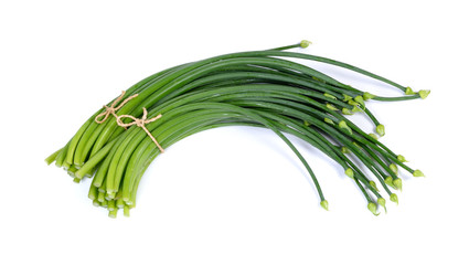 Onion flower isolated on a white background