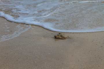 Moving of surf in the sea