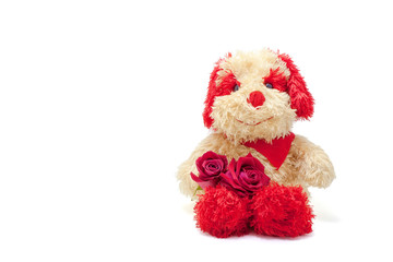 Cute plush toy dog with two red rose and scarf, isolated on white background.