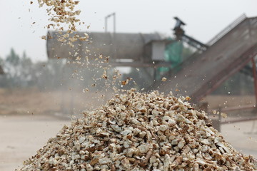 cassava agricultural product processing for make it dry