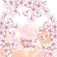 Fototapeta na wymiar Background with sakura