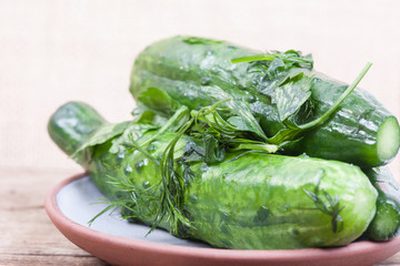 green pickles in a bowl still life background