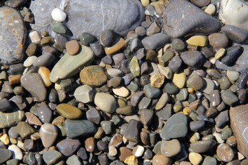 Pebble of the sea, year 2015