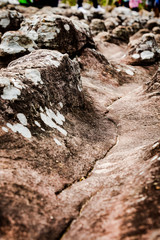 Phu Hin Rong Kla National Park, Phitsanulok Thailand.