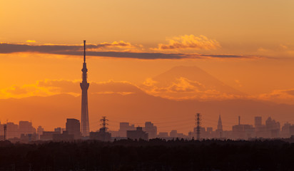 Fototapeta premium Tokyo city view with mt.fuji before sunset time