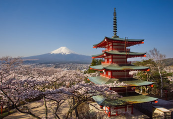 Fototapeta premium Japonia piękny krajobraz Góra Fuji i Chureito czerwona pagoda z wiśniowym kwiatem Sakura