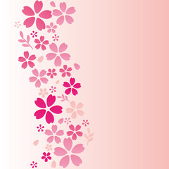 Fototapeta na wymiar Flower background, cherry blossom or sakura