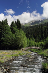 Obraz premium Lake Rizza, year 2015