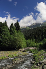 Obraz premium Lake Rizza, year 2015