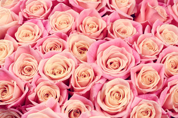 Obraz na płótnie Canvas Pink roses background