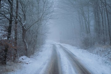 Obraz premium schnee im wald