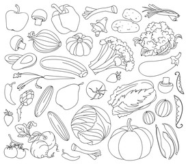 Fototapeta na wymiar Doodle vector set of vegetables