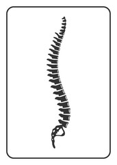 Human spine sign. Black silhouette icon isolated on white background. Element for graphic design, website, medical or orthopedic business. Symbol of skeleton, bone, back, medicine. Vector illustration
