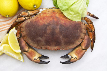 crab on the table with lemon