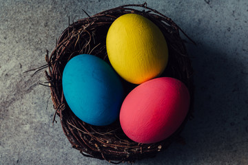 Colorful eggs in bird nest