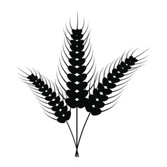 Three stalks of ripe barley icon 