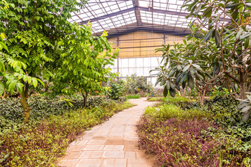 Interior of greenhouse with a variety of plants and flowers